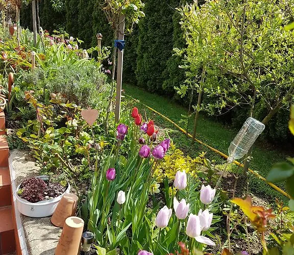 Ginavilla Gæstehus *